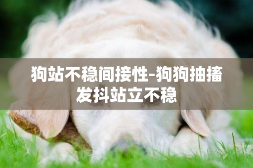狗站不穩間接性-狗狗抽搐發抖站立不穩