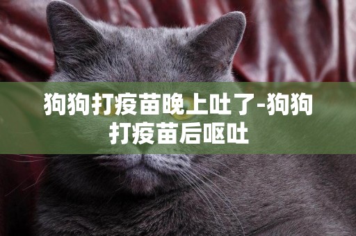 狗狗打疫苗晚上吐了-狗狗打疫苗后嘔吐