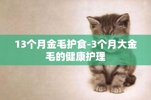 13個月金毛護食-3個月大金毛的健康護理