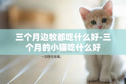 三個月邊牧都吃什么好-三個月的小貓吃什么好