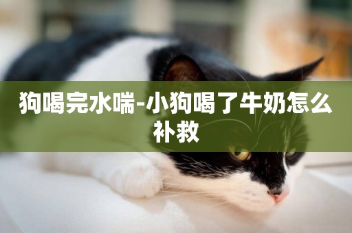 狗喝完水喘-小狗喝了牛奶怎么補救