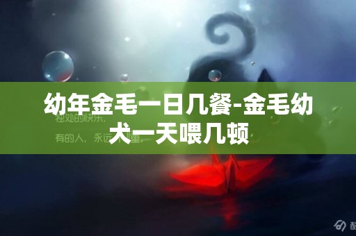 幼年金毛一日幾餐-金毛幼犬一天喂幾頓