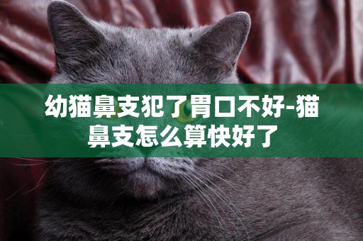 幼貓鼻支犯了胃口不好-貓鼻支怎么算快好了
