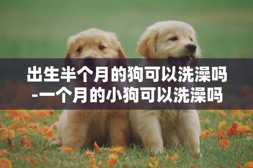 出生半個月的狗可以洗澡嗎-一個月的小狗可以洗澡嗎