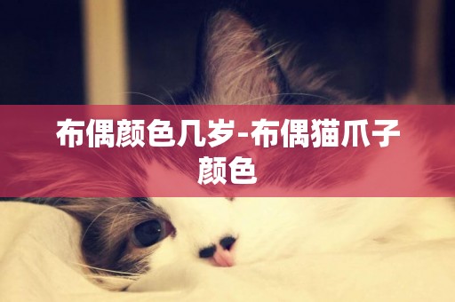 布偶顏色幾歲-布偶貓爪子顏色