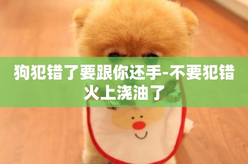 狗犯錯了要跟你還手-不要犯錯火上澆油了