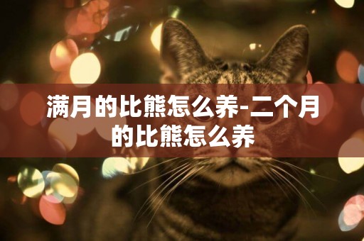 滿月的比熊怎么養-二個月的比熊怎么養