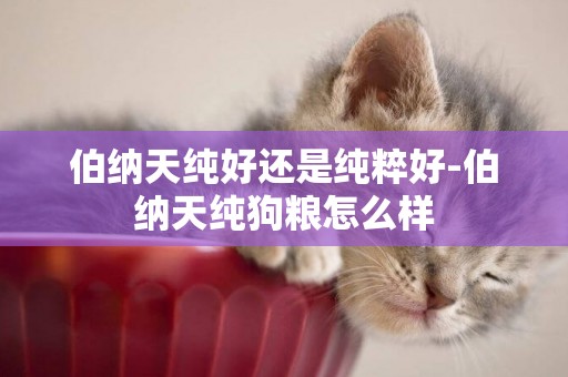 伯納天純好還是純粹好-伯納天純狗糧怎么樣