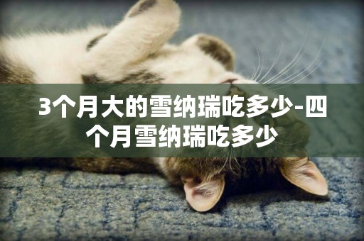 3個月大的雪納瑞吃多少-四個月雪納瑞吃多少