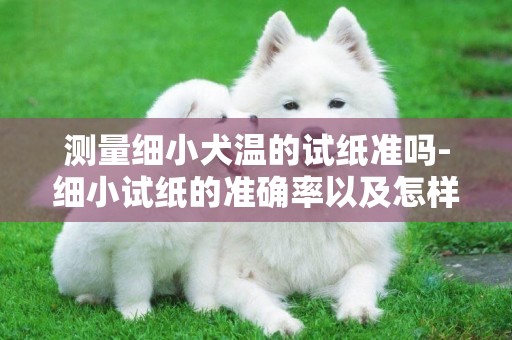 測量細小犬溫的試紙準嗎-細小試紙的準確率以及怎樣使用細小試紙
