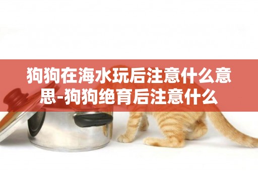 狗狗在海水玩后注意什么意思-狗狗絕育后注意什么