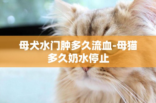 母犬水門腫多久流血-母貓多久奶水停止