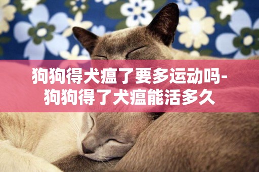 狗狗得犬瘟了要多運動嗎-狗狗得了犬瘟能活多久