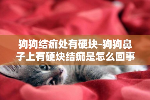 狗狗結痂處有硬塊-狗狗鼻子上有硬塊結痂是怎么回事