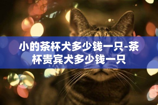 小的茶杯犬多少錢一只-茶杯貴賓犬多少錢一只