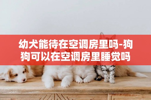 幼犬能待在空調房里嗎-狗狗可以在空調房里睡覺嗎