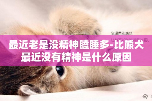 最近老是沒精神瞌睡多-比熊犬最近沒有精神是什么原因