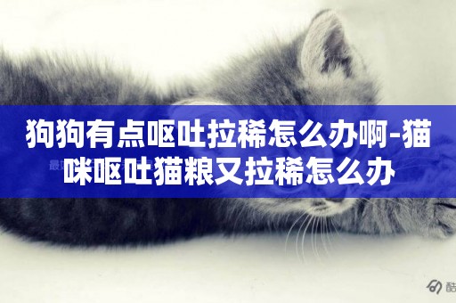 狗狗有點嘔吐拉稀怎么辦啊-貓咪嘔吐貓糧又拉稀怎么辦