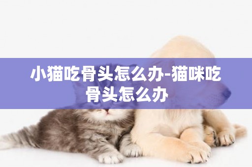 小貓吃骨頭怎么辦-貓咪吃骨頭怎么辦