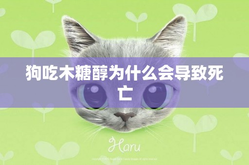 狗吃木糖醇為什么會導致死亡