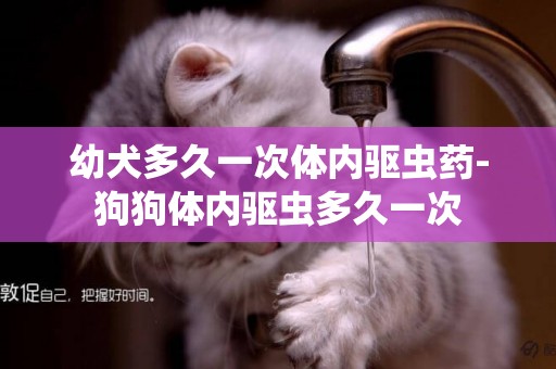 幼犬多久一次體內驅蟲藥-狗狗體內驅蟲多久一次