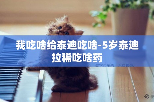 我吃啥給泰迪吃啥-5歲泰迪拉稀吃啥藥