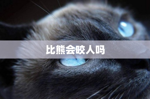 比熊會咬人嗎