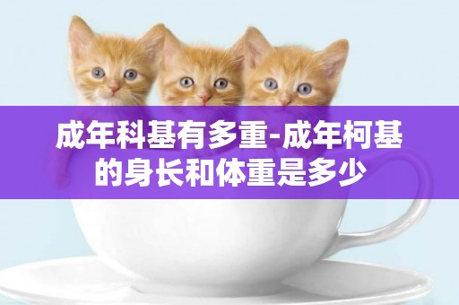成年科基有多重-成年柯基的身長和體重是多少