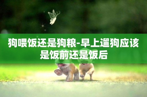 狗喂飯還是狗糧-早上遛狗應該是飯前還是飯后