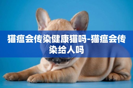 貓瘟會傳染健康貓嗎-貓瘟會傳染給人嗎