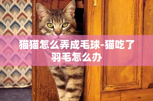 貓貓怎么弄成毛球-貓吃了羽毛怎么辦