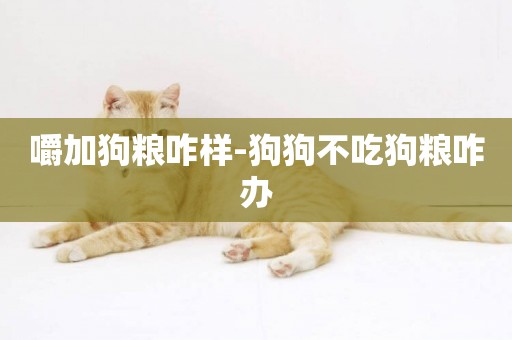 嚼加狗糧咋樣-狗狗不吃狗糧咋辦