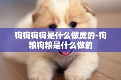 狗狗狗狗是什么做成的-狗糧狗糧是什么做的