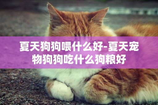 夏天狗狗喂什么好-夏天寵物狗狗吃什么狗糧好