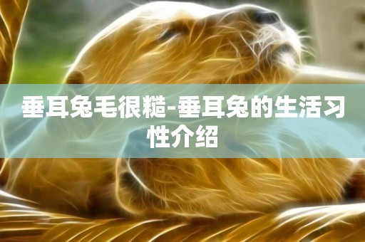垂耳兔毛很糙-垂耳兔的生活習性介紹