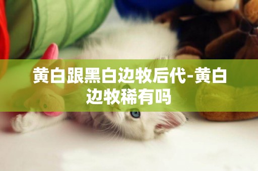 黃白跟黑白邊牧后代-黃白邊牧稀有嗎