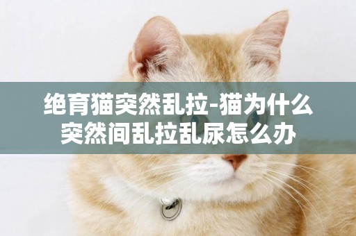 絕育貓突然亂拉-貓為什么突然間亂拉亂尿怎么辦