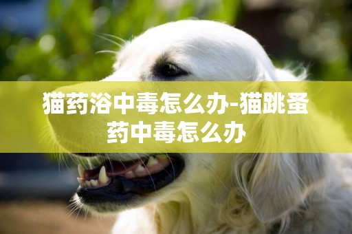 貓藥浴中毒怎么辦-貓跳蚤藥中毒怎么辦