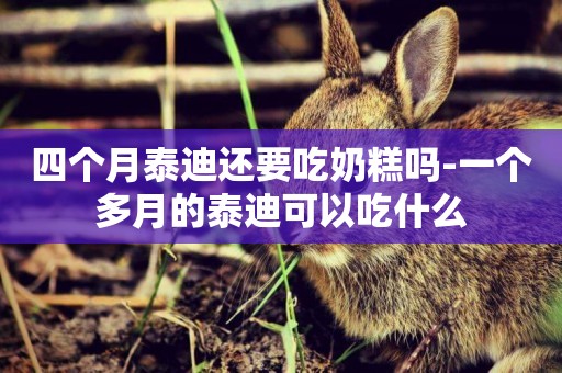 四個月泰迪還要吃奶糕嗎-一個多月的泰迪可以吃什么