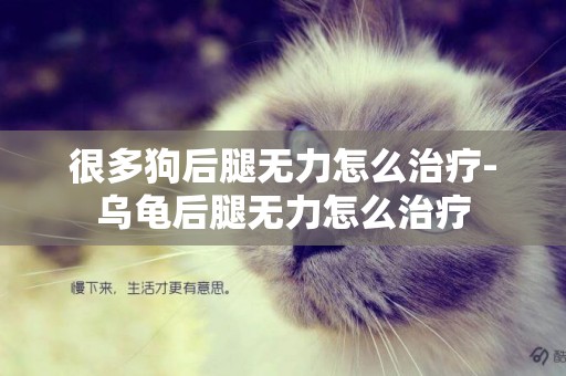 很多狗后腿無力怎么治療-烏龜后腿無力怎么治療