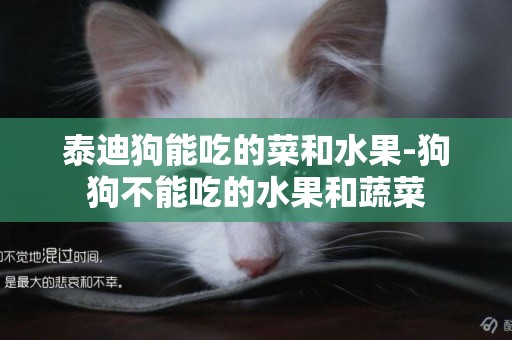 泰迪狗能吃的菜和水果-狗狗不能吃的水果和蔬菜
