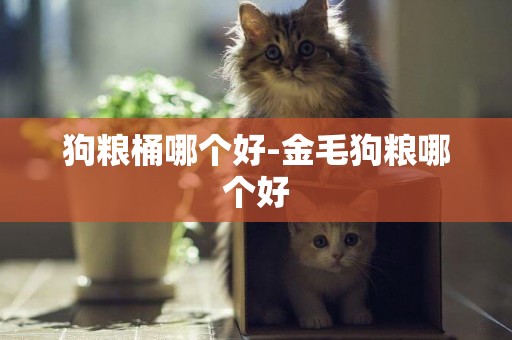 狗糧桶哪個好-金毛狗糧哪個好