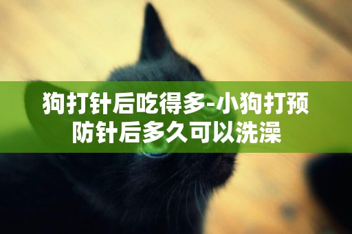 狗打針后吃得多-小狗打預防針后多久可以洗澡