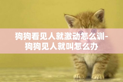 狗狗看見人就激動怎么訓-狗狗見人就叫怎么辦