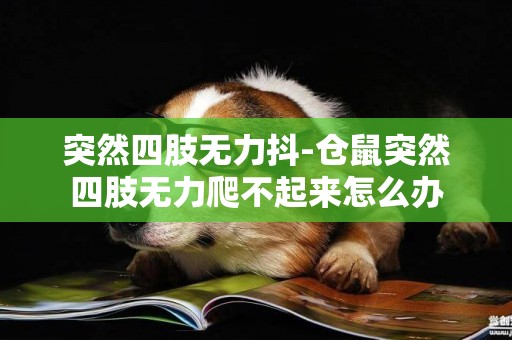 突然四肢無力抖-倉鼠突然四肢無力爬不起來怎么辦