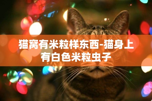 貓窩有米粒樣東西-貓身上有白色米粒蟲子