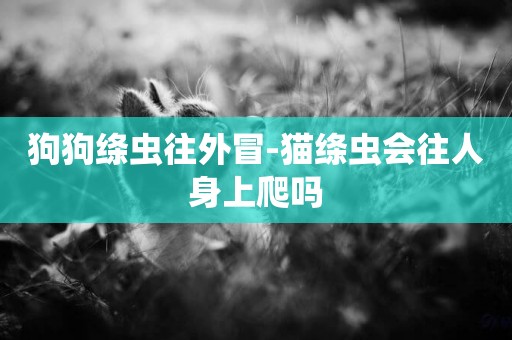 狗狗絳蟲往外冒-貓絳蟲會往人身上爬嗎