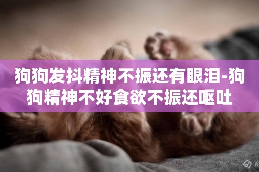 狗狗發抖精神不振還有眼淚-狗狗精神不好食欲不振還嘔吐
