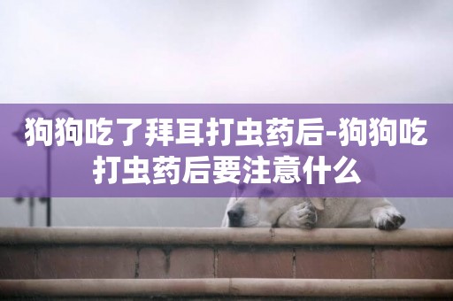 狗狗吃了拜耳打蟲藥后-狗狗吃打蟲藥后要注意什么