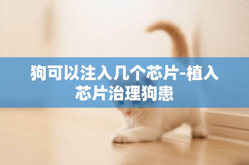 狗可以注入幾個芯片-植入芯片治理狗患